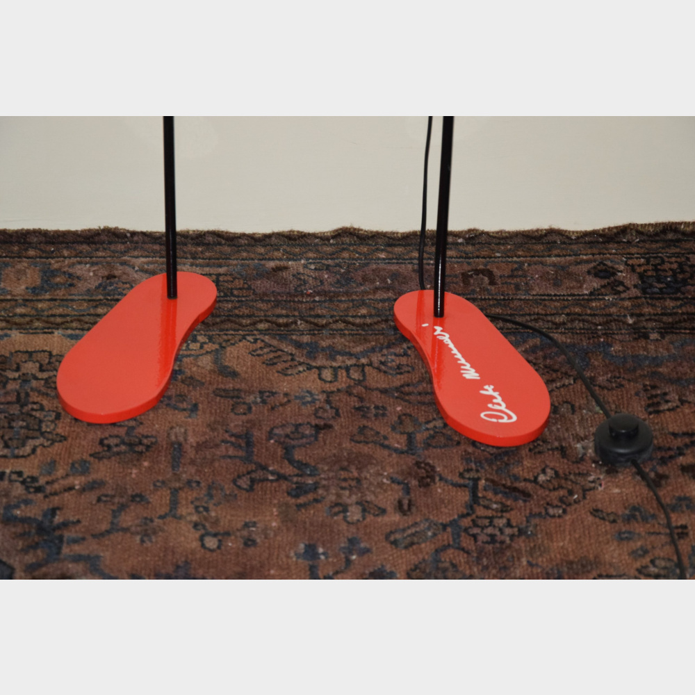 Diomede Cleto Munari - Base