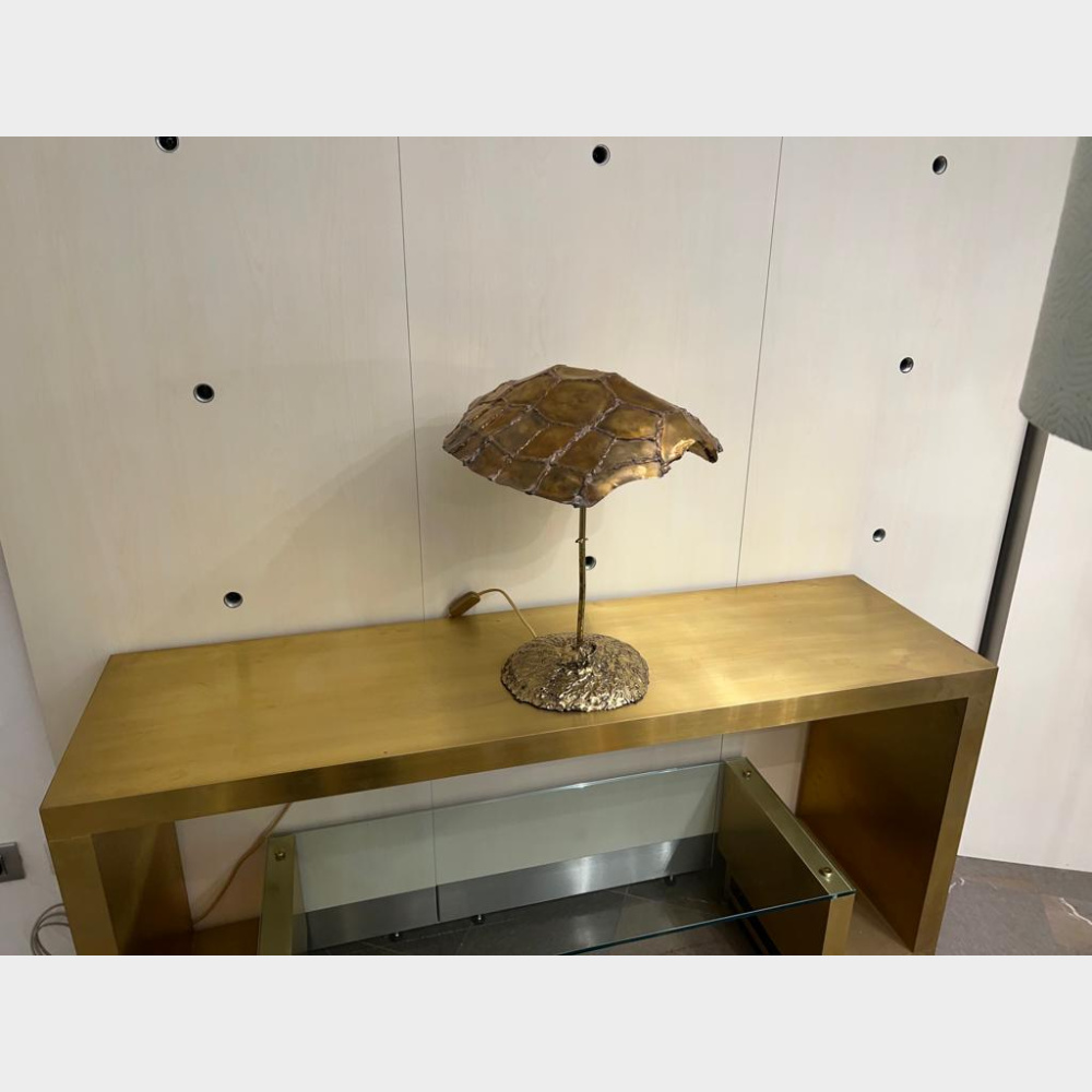 bronze_turtle tartaruga_bronzo